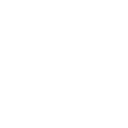 Hand holding a heart